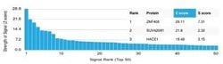 ZNF408 Antibody (PCRP-ZNF408-1E5) - Azide and BSA Free, Novus Biologicals